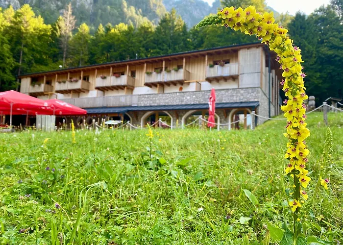 Hotel Rifugio Pian Dei Ciclamini Lusevera